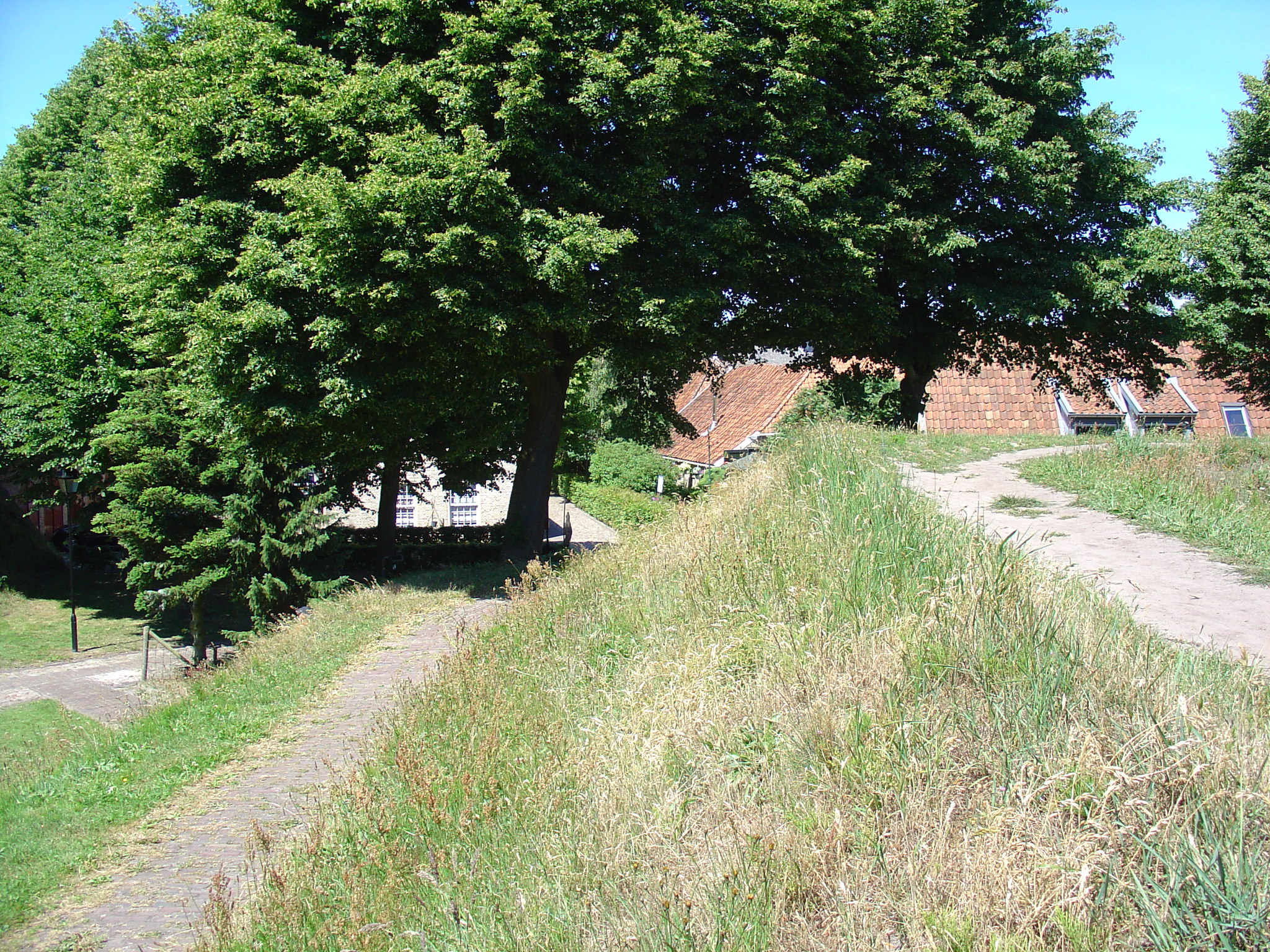 TerApel 040.jpg